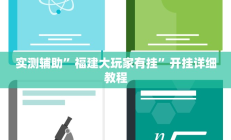 实测辅助”福建大玩家有挂”开挂详细教程
