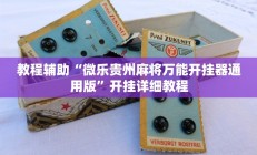 教程辅助“微乐贵州麻将万能开挂器通用版”开挂详细教程