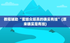 教程辅助“蜜蜂众娱真的确实有挂”(原来确实是有挂)