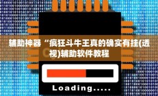 辅助神器“疯狂斗牛王真的确实有挂(透视)辅助软件教程