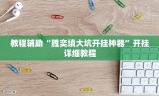 教程辅助“胜奕填大坑开挂神器”开挂详细教程