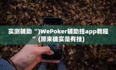 实测辅助“)WePoker辅助挂app教程”(原来确实是有挂)