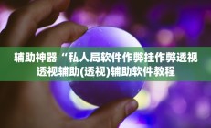 辅助神器“私人局软件作弊挂作弊透视透视辅助(透视)辅助软件教程