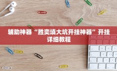 辅助神器“胜奕填大坑开挂神器”开挂详细教程