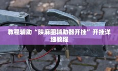 教程辅助“陕麻圈辅助器开挂”开挂详细教程