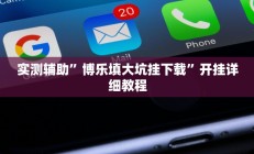 实测辅助”博乐填大坑挂下载”开挂详细教程