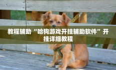 教程辅助“哈狗游戏开挂辅助软件”开挂详细教程