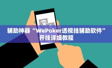 辅助神器“WePoker透视挂辅助软件”开挂详细教程