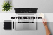 孝昌龙虾团购群/湖北孝感龙虾