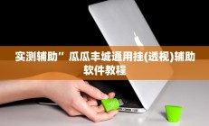 实测辅助”黑鹰众玩辅助挂”开挂详细教程