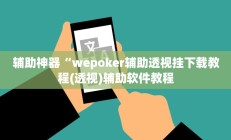 辅助神器“wepoker辅助透视挂下载教程(透视)辅助软件教程