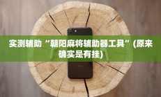 实测辅助“朝阳麻将辅助器工具”(原来确实是有挂)