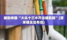 辅助神器“大头十三水开挂辅助器”(原来确实是有挂)