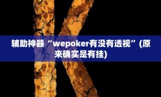 辅助神器“wepoker有没有透视”(原来确实是有挂)