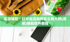 实测辅助”红中血流麻将怎么做大牌(透视)辅助软件教程