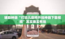 实测辅助“填大坑透视”!开挂”开挂详细教程