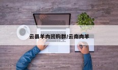 云县羊肉团购群/云南肉羊