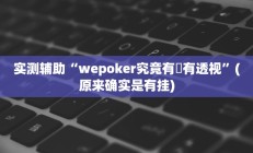 实测辅助“wepoker究竟有沒有透视”(原来确实是有挂)