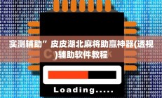 实测辅助”随身13道通用挂”开挂详细教程