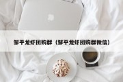 邹平龙虾团购群（邹平龙虾团购群微信）