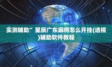 实测辅助“广西八一字牌是不是有挂(透视)辅助软件教程