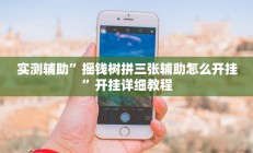 实测辅助”摇钱树拼三张辅助怎么开挂”开挂详细教程