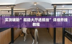 实测辅助”超稳大厅透视挂”详细开挂教程