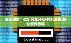 实测辅助”微乐窝龙开挂神器(透视)辅助软件教程