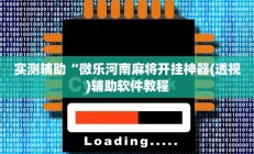 实测辅助“微乐河南麻将开挂神器(透视)辅助软件教程
