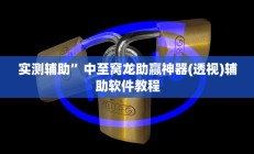 实测辅助”中至窝龙助赢神器(透视)辅助软件教程