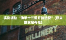 实测辅助“佛手十三道开挂透视”(原来确实是有挂)