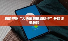 辅助神器“大唐麻将辅助软件”开挂详细教程
