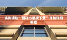 实测辅助”新祥心透视下载”开挂详细教程