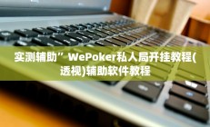 实测辅助“微乐辽宁麻将辅助开挂教程(透视)辅助软件教程