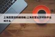 上海蔬菜团购赚钱嘛/上海买菜社区团购平台叫什么