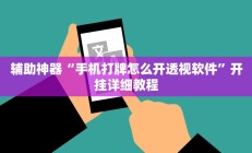 辅助神器“青鸟大厅拼三张透视挂”开挂详细教程