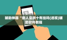 辅助神器“新人皇拼十有挂吗(透视)辅助软件教程