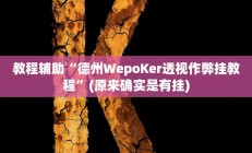 教程辅助“德州WepoKer透视作弊挂教程”(原来确实是有挂)