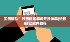 实测辅助”陕西微乐麻将开挂神器(透视)辅助软件教程