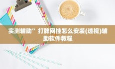 实测辅助”打牌网挂怎么安装(透视)辅助软件教程