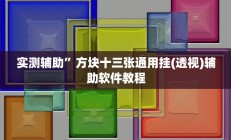 实测辅助”方块十三张通用挂(透视)辅助软件教程