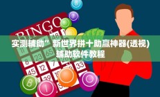 实测辅助”闲逸碰胡辅助神器”开挂详细教程