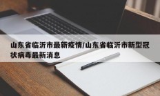 山东省临沂市最新疫情／山东省临沂市新型冠状病毒最新消息