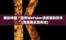 辅助神器“德州WePoker透视辅助软件”(原来确实是有挂)