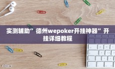 实测辅助”德州wepoker开挂神器”开挂详细教程
