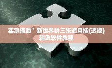 实测辅助”新世界拼三张通用挂(透视)辅助软件教程