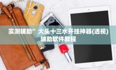 实测辅助”大头十三水开挂神器(透视)辅助软件教程