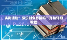 实测辅助“家乡大贰开挂器”开挂详细教程