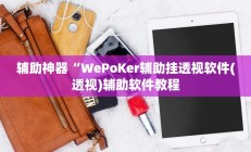 辅助神器“WePoKer辅助挂透视软件(透视)辅助软件教程