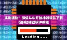 实测辅助“亲友圈麻将软件透视详细教程”(原来确实是有挂)